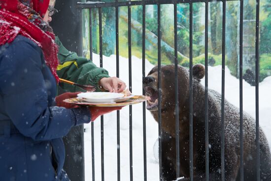 Maslenitsa scarecrow given to bear at Yekaterinburg Zoo