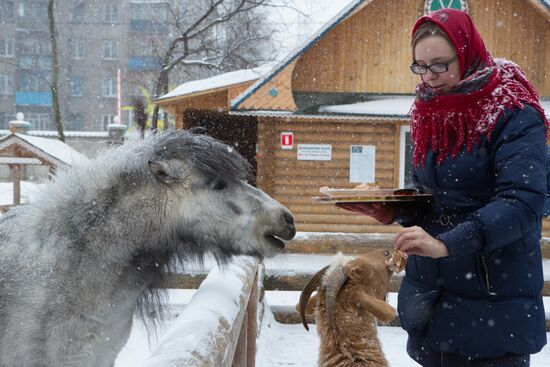 Maslenitsa scarecrow given to bear at Yekaterinburg Zoo
