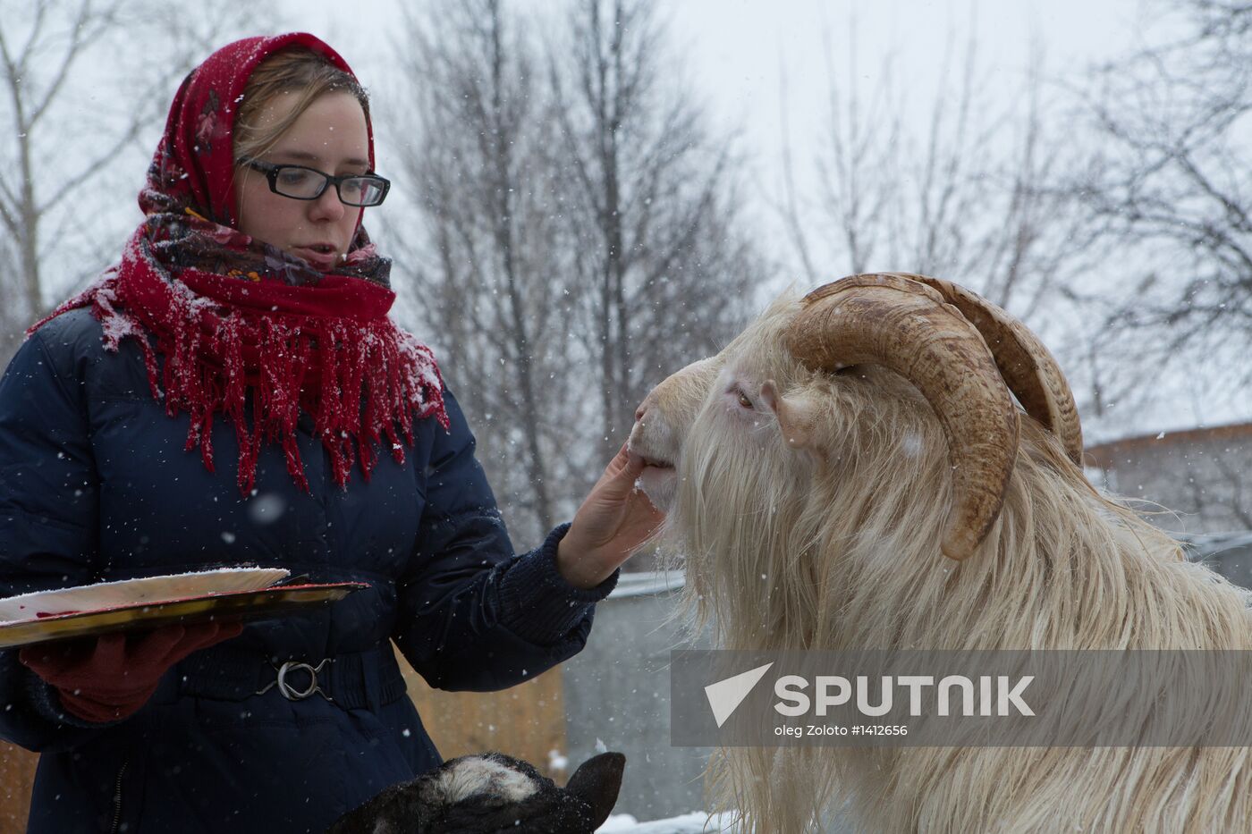 Maslenitsa scarecrow given to bear at Yekaterinburg Zoo
