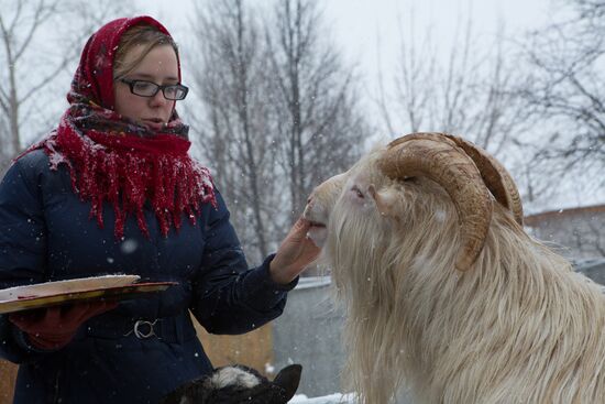 Maslenitsa scarecrow given to bear at Yekaterinburg Zoo