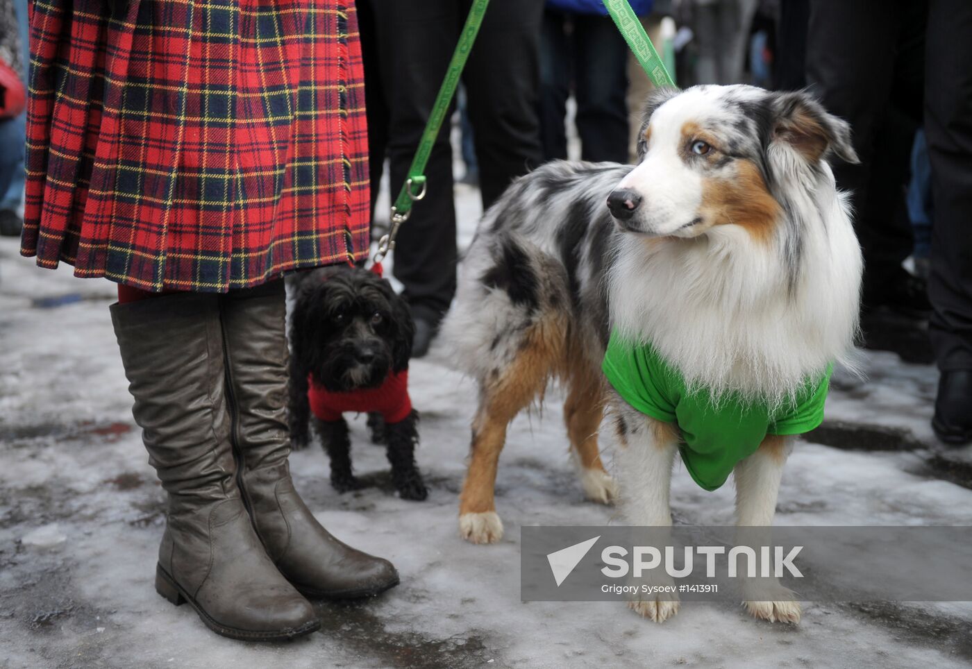 St. Patrick’s Day celebrations