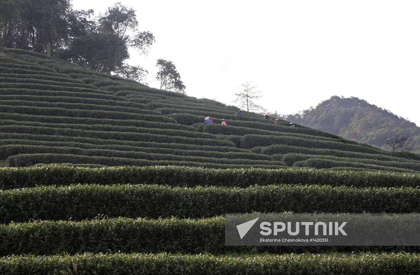 World Countries: China