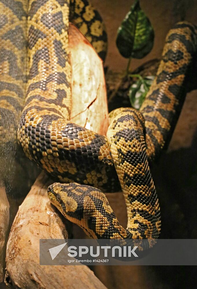 Exotarium opens in Kaliningrad
