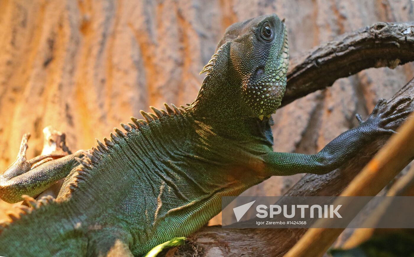 Exotarium opens in Kaliningrad