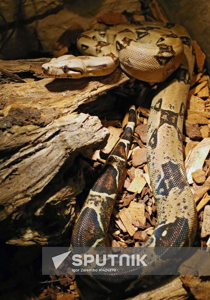 Exotarium opens in Kaliningrad