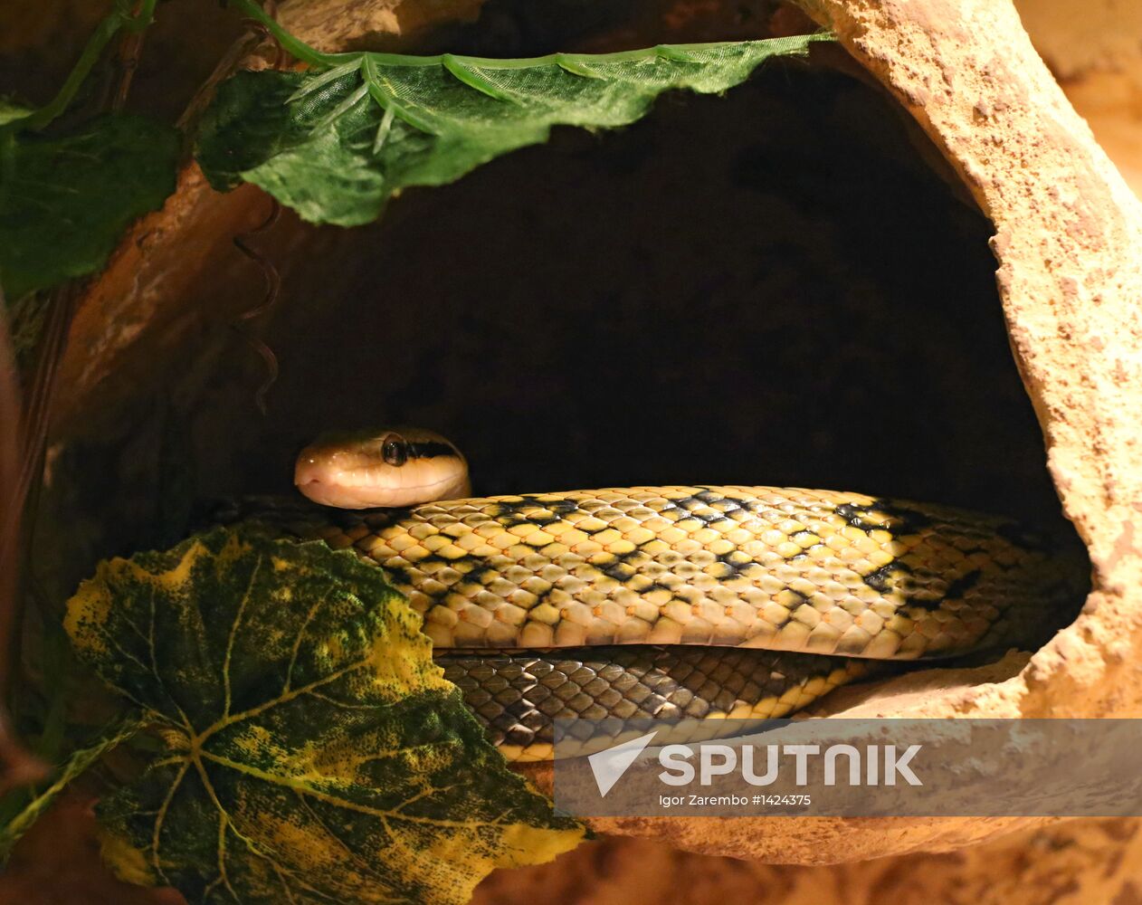 Exotarium opens in Kaliningrad