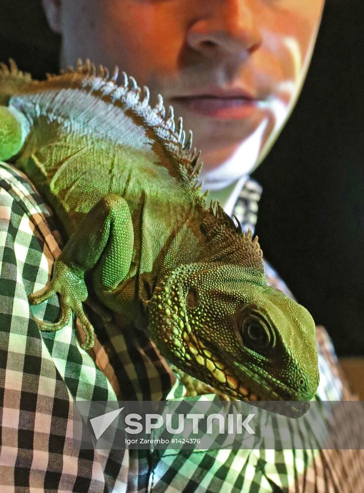 Exotarium opens in Kaliningrad
