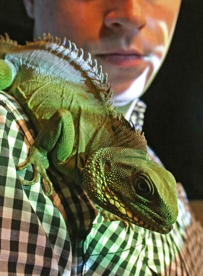 Exotarium opens in Kaliningrad