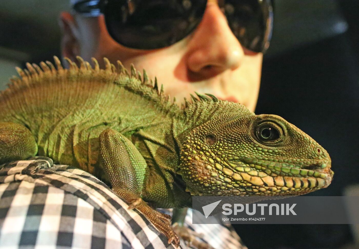 Exotarium opens in Kaliningrad