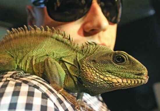 Exotarium opens in Kaliningrad