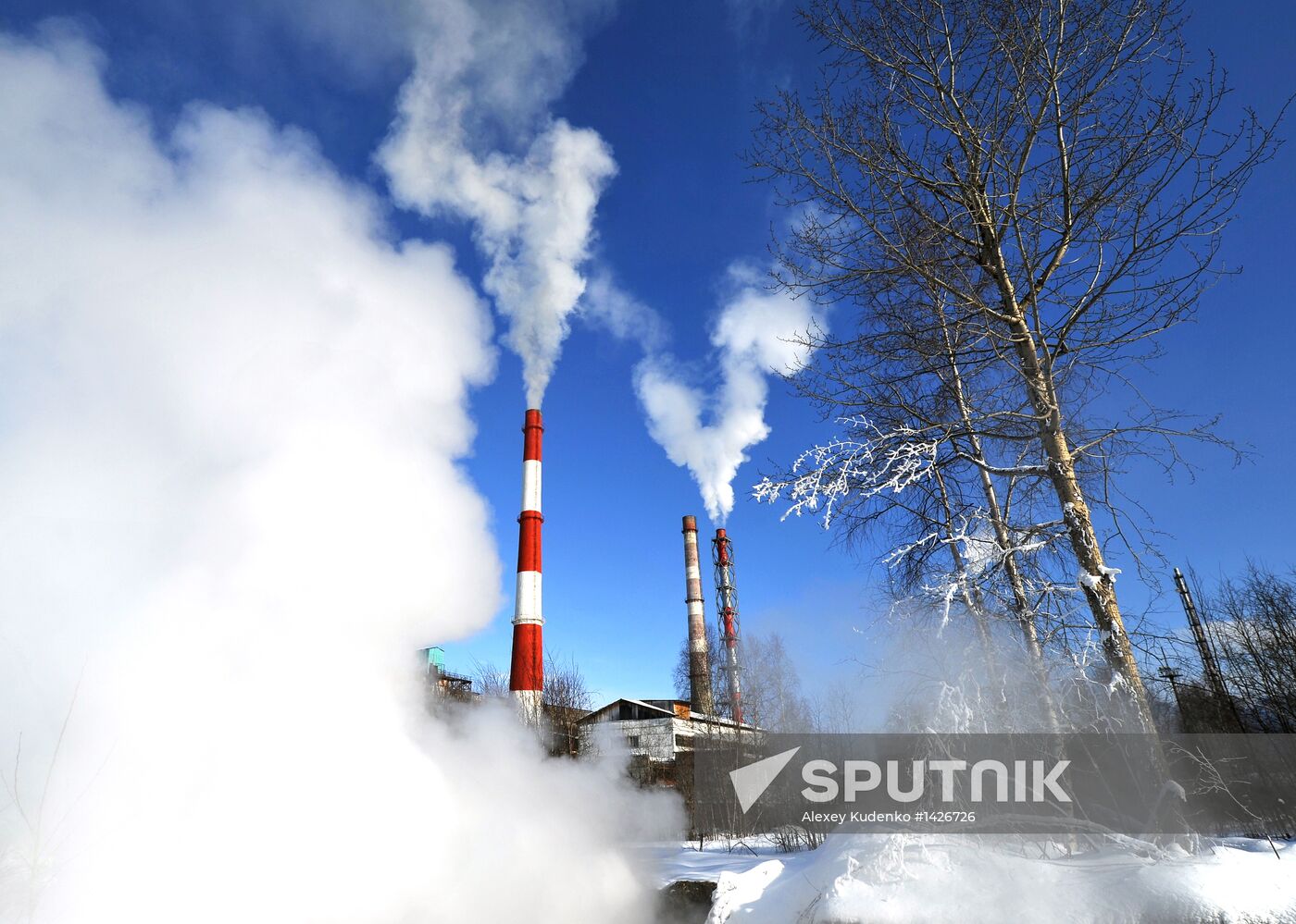 Baikalsk Pulp and Paper Mill to be closed