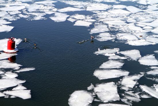 Icebreaker on the Moscow River