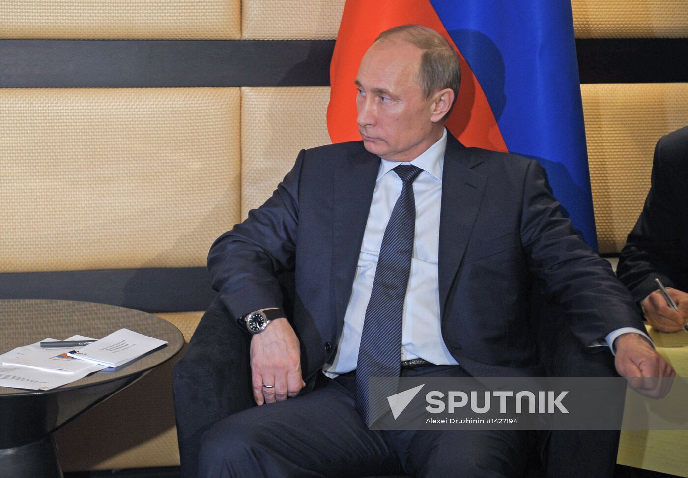 Vladimir Putin attends BRICS summit