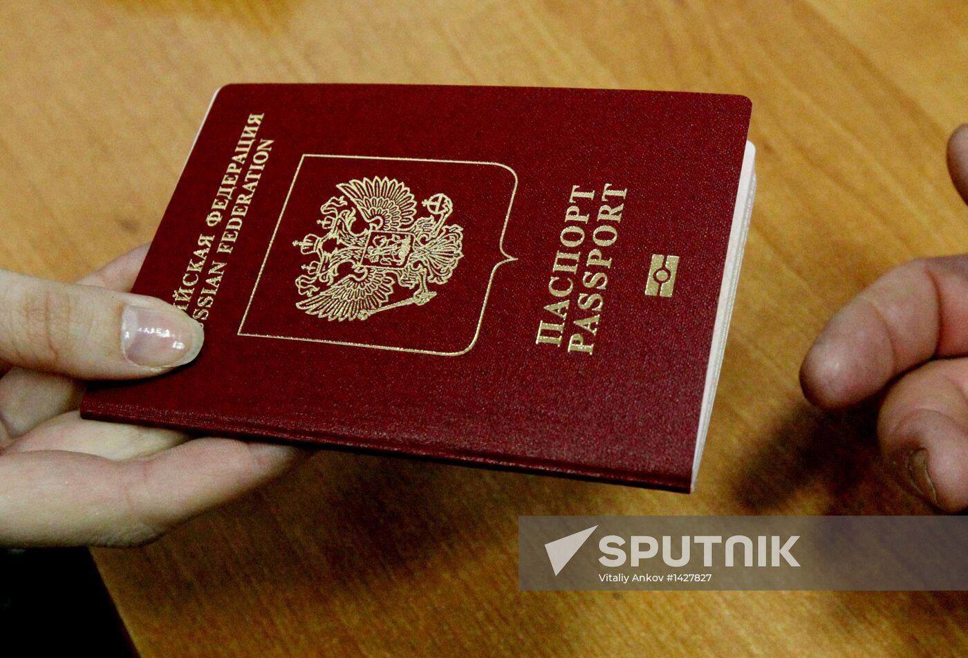 Processing and issuing biometric foreign passports