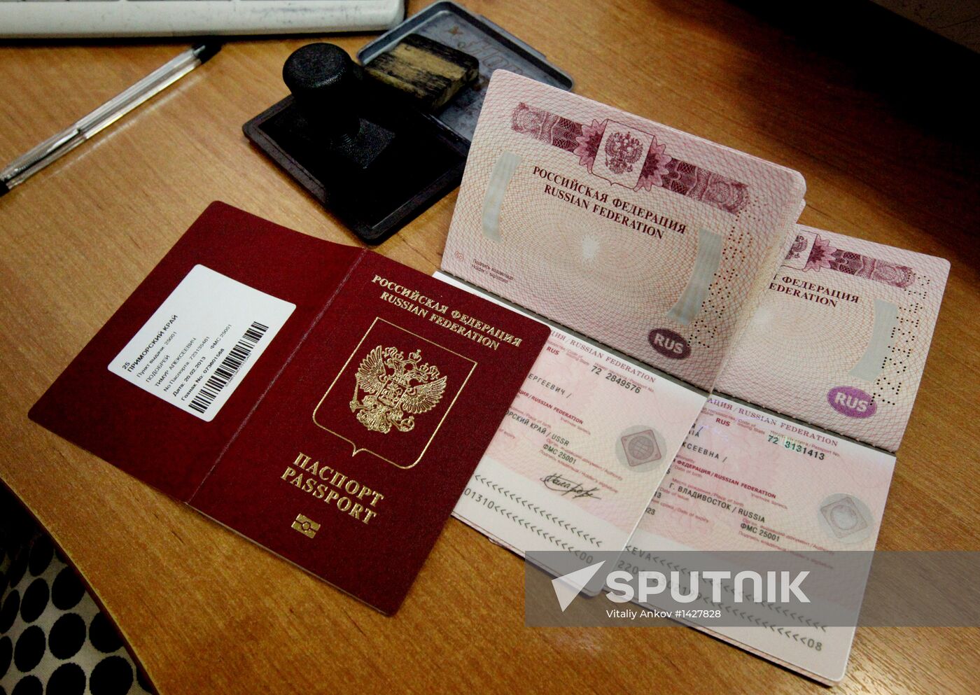 Processing and issuing biometric foreign passports