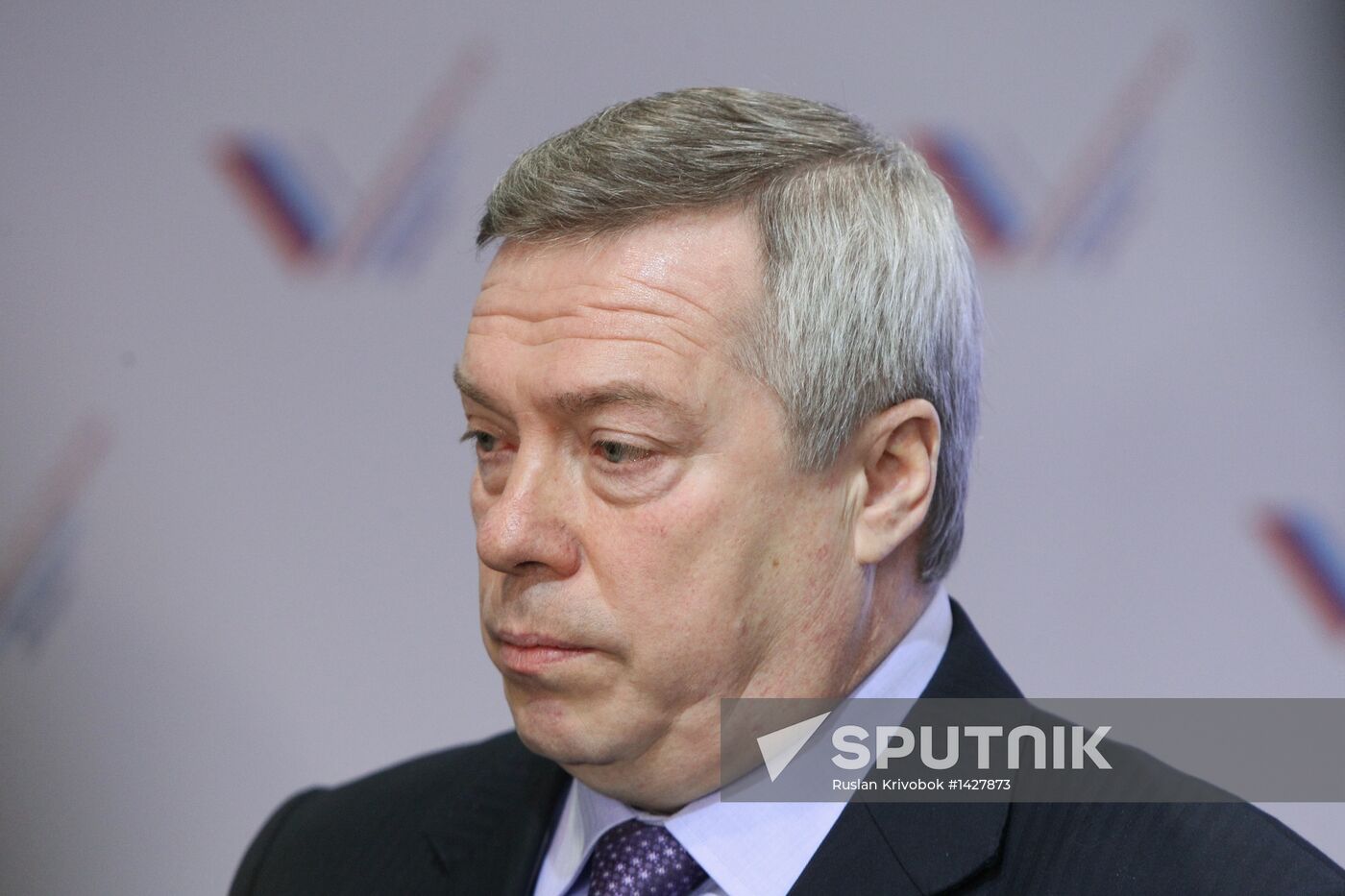 All-Russia People's Front holds conference in Rostov-on-Don