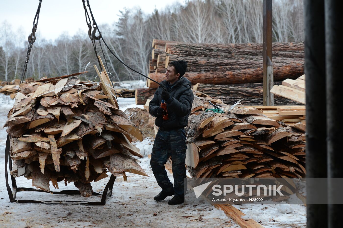 Logging in Novosibirsk region