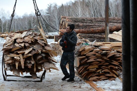 Logging in Novosibirsk region