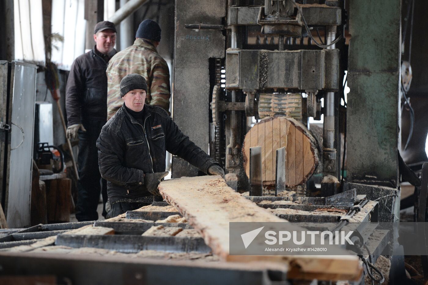 Logging in Novosibirsk region