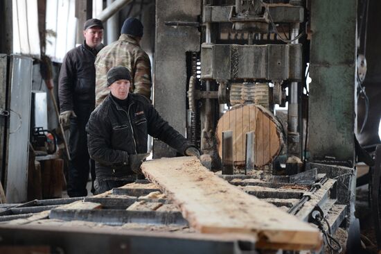 Logging in Novosibirsk region