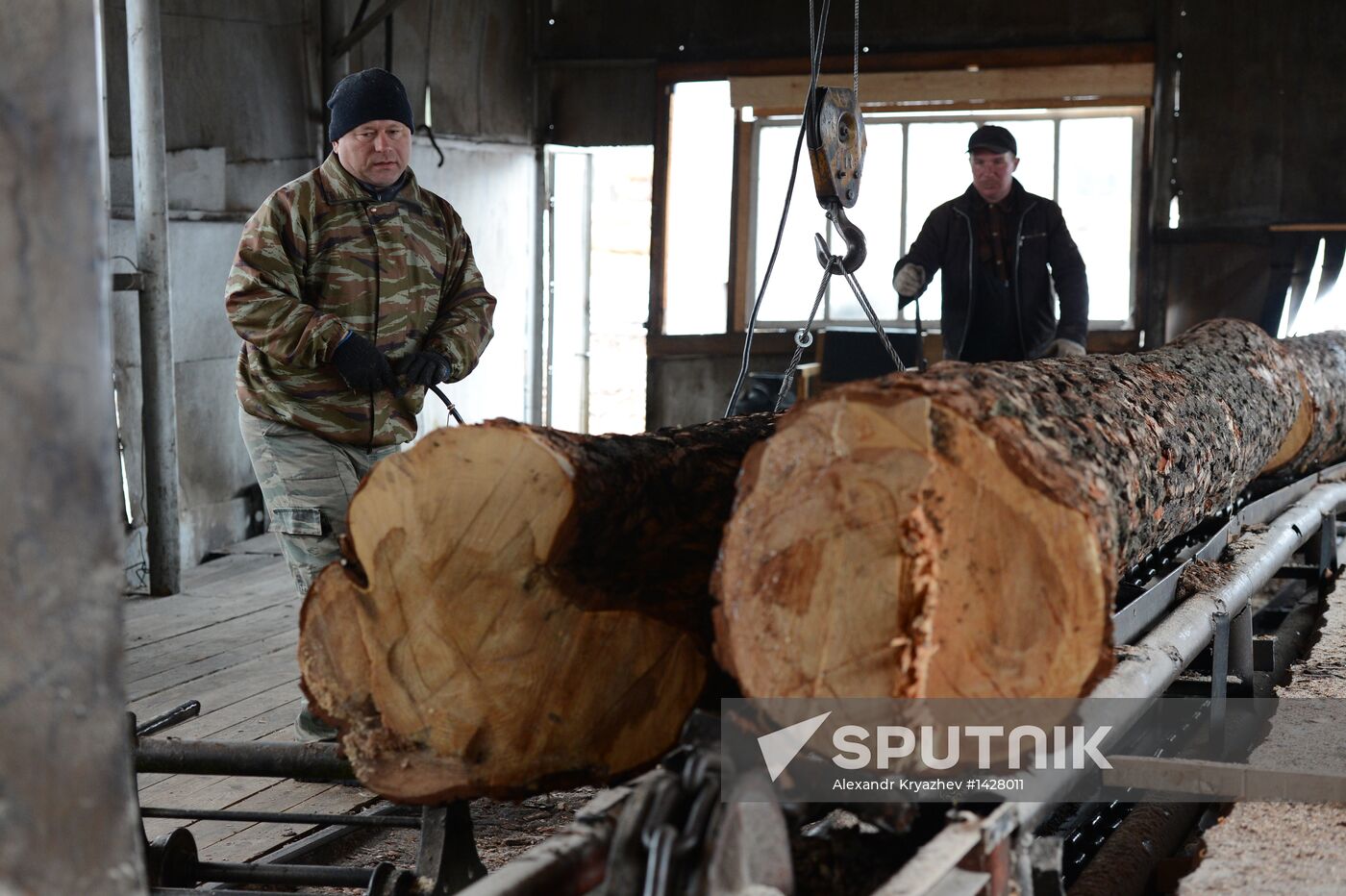 Logging in Novosibirsk region