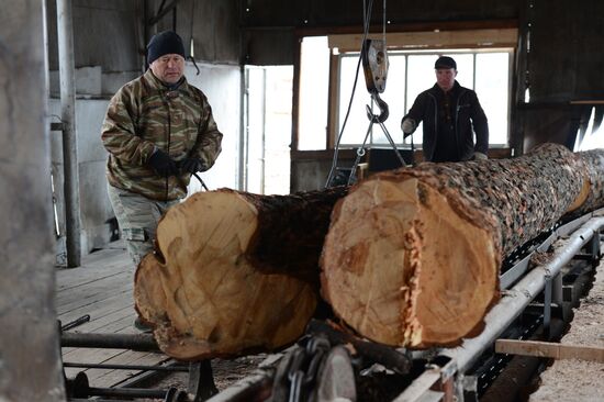 Logging in Novosibirsk region