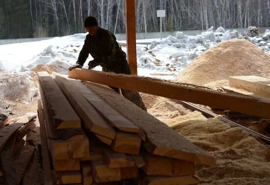 Logging in Novosibirsk region