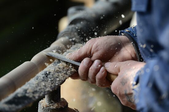 Logging in Novosibirsk region