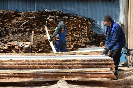 Logging in Novosibirsk region