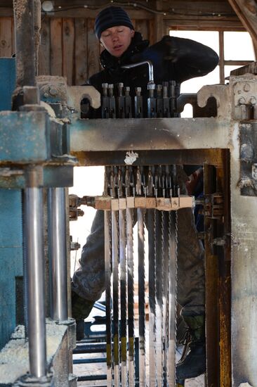 Logging in Novosibirsk region