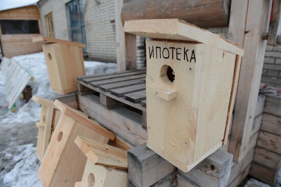 Logging in Novosibirsk region