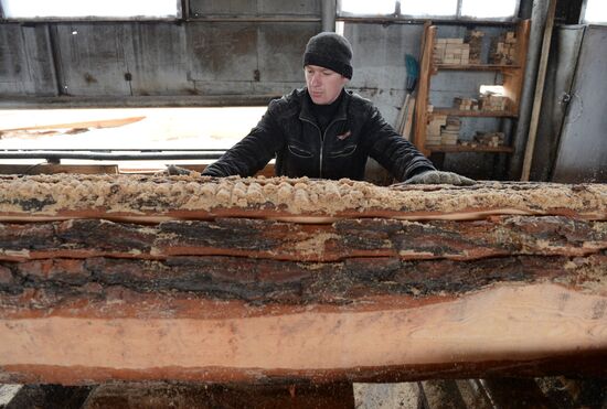 Logging in Novosibirsk region