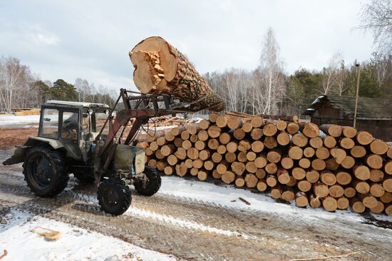 Logging in Novosibirsk region