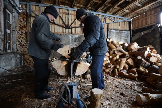 Logging in Novosibirsk region