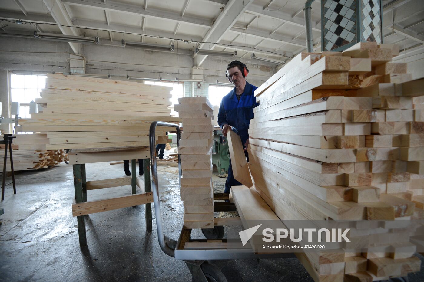 Logging in Novosibirsk region