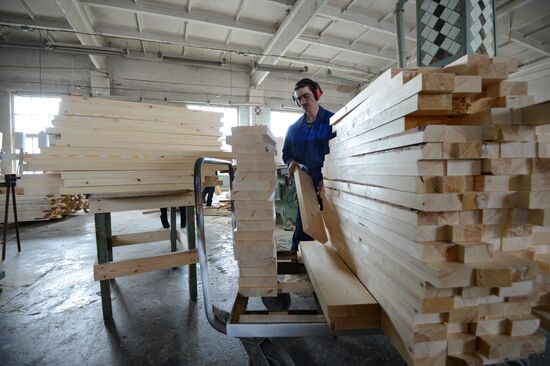 Logging in Novosibirsk region