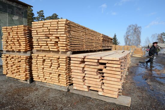 Logging in Novosibirsk region