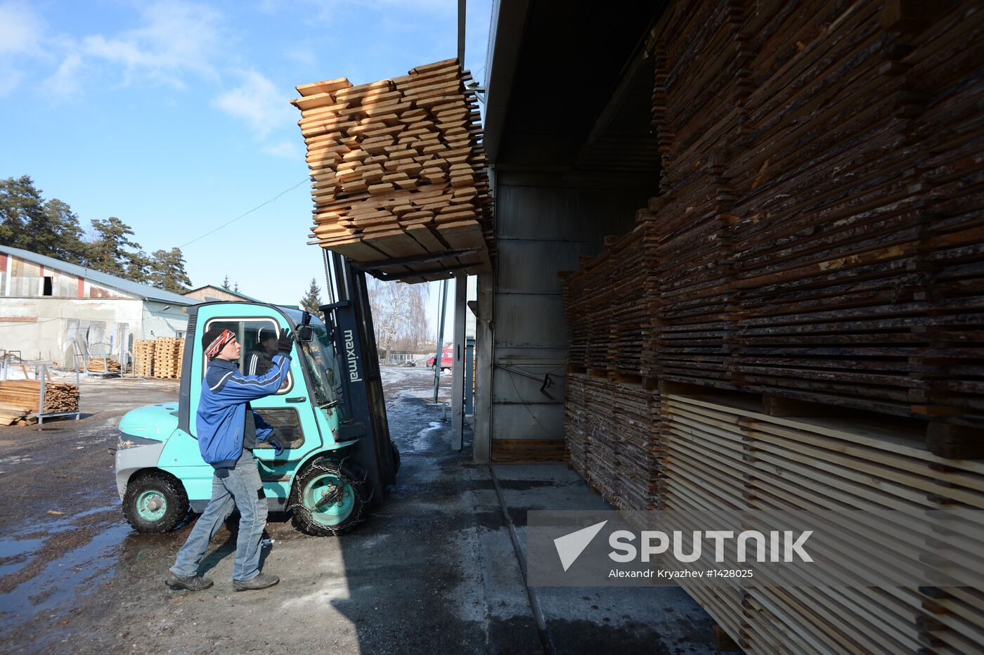Logging in Novosibirsk region