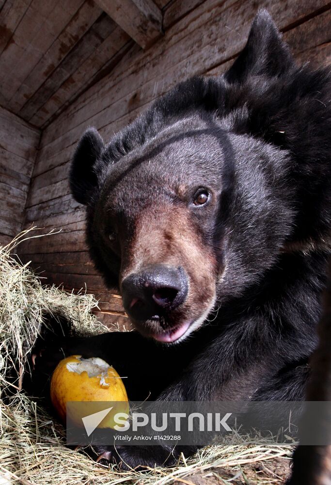 Prokhladny Farmstead Zoo