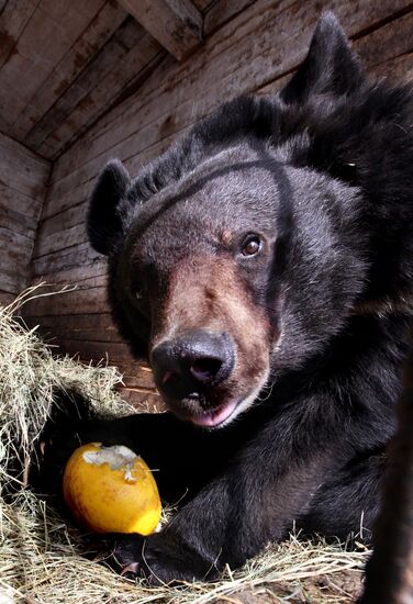 Prokhladny Farmstead Zoo
