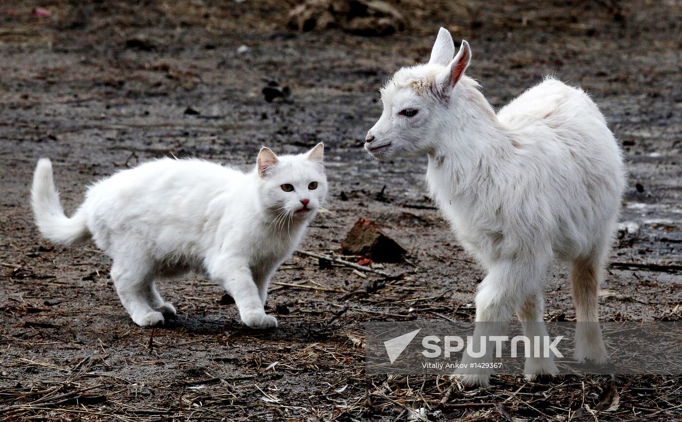 Prokhladny Farmstead Zoo