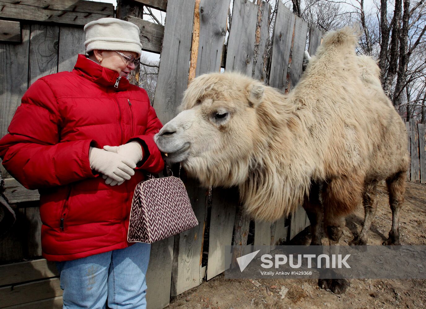 Prokhladny Farmstead Zoo