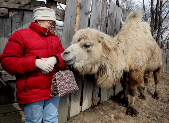 Prokhladny Farmstead Zoo