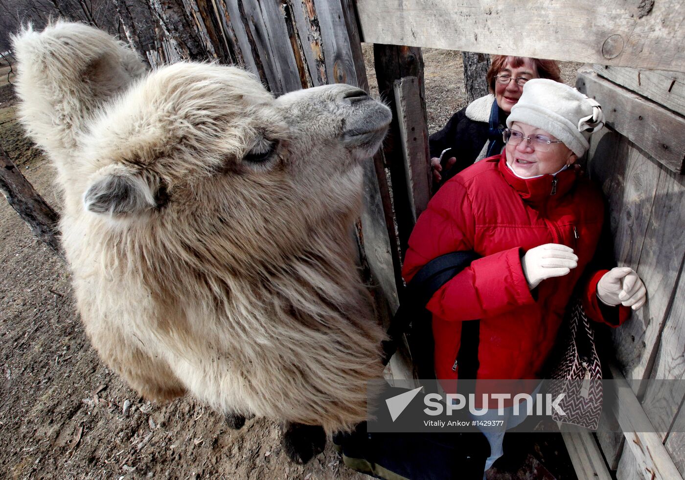Prokhladny Farmstead Zoo