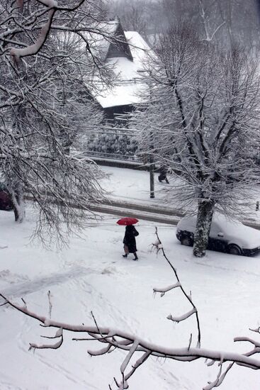 April snowfall in Kaliningrad