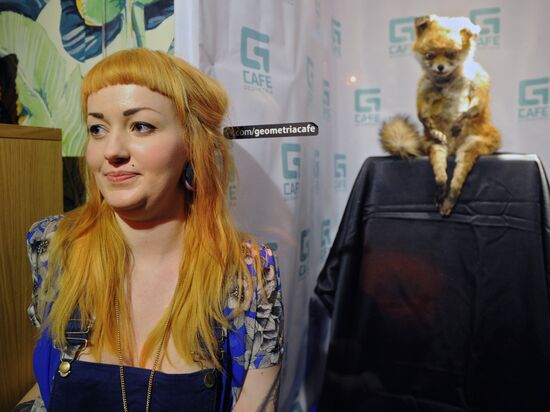 Adele Morse, creator of Stoned Fox arrives in St. Petersburg