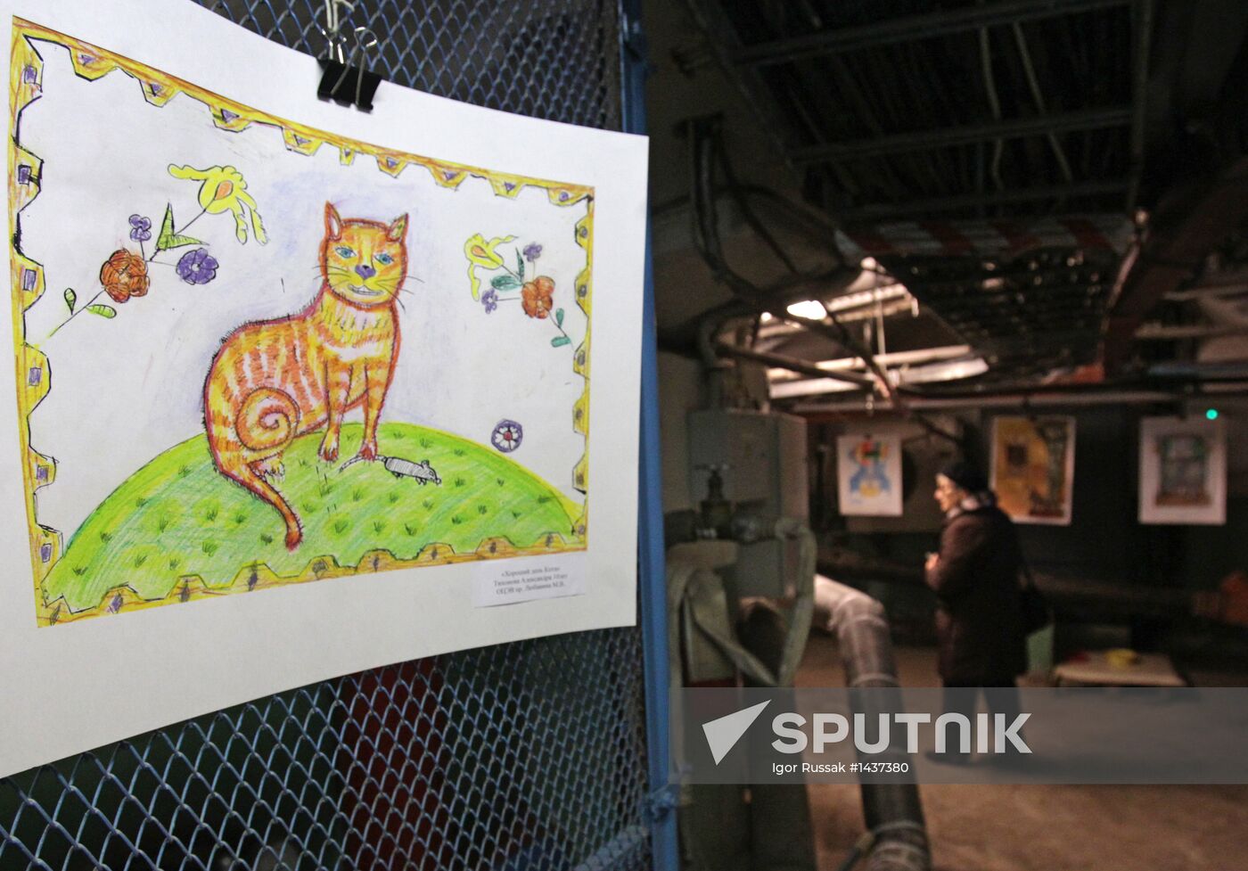 "Hermitage Cat Day"