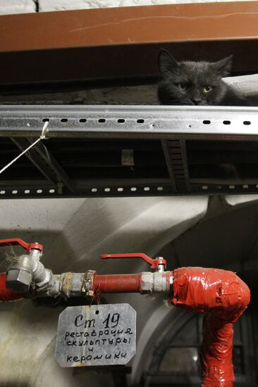 "Hermitage Cat Day"