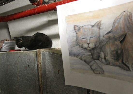 "Hermitage Cat Day"