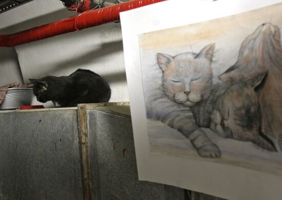 "Hermitage Cat Day"